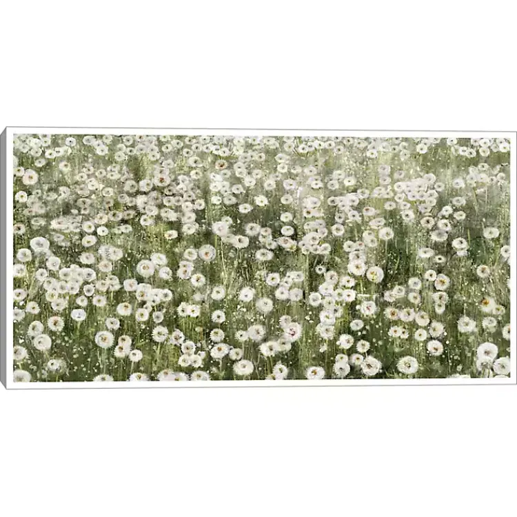 Kirklands Home One Hundred Wishes Framed Canvas Art Print Hot