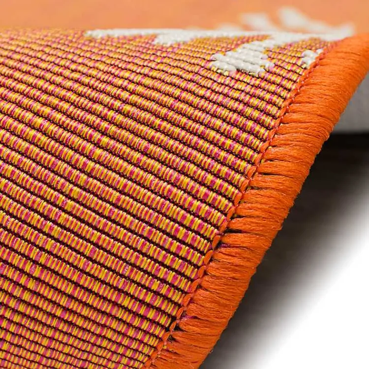 Kirklands Home Orange Coral Indoor/Outdoor Rug, 3x4 New