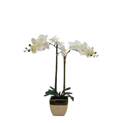 Arrangements & Greenery>Kirklands Home Orchid Arrangement in Gold Pot