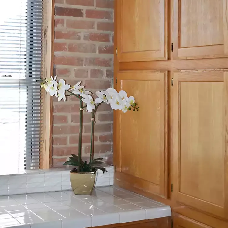 Arrangements & Greenery>Kirklands Home Orchid Arrangement in Gold Pot