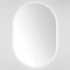 Kirklands Home Oval Jax LED Wall Mirror Best