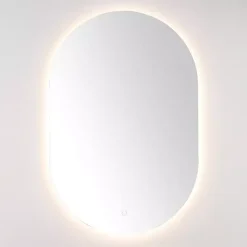 Kirklands Home Oval Jax LED Wall Mirror Best