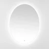 Kirklands Home Oval Nolan LED Wall Mirror Sale