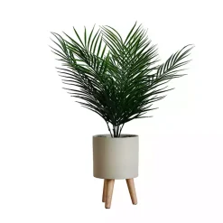 Arrangements & Greenery>Kirklands Home Palm Arrangement in Tan Footed Pot