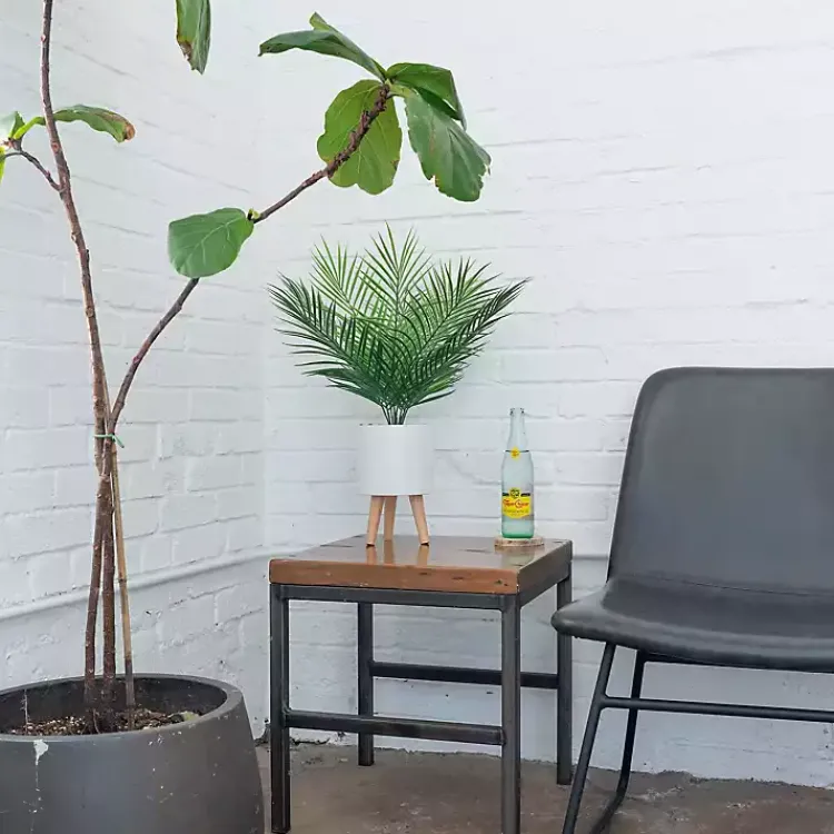 Arrangements & Greenery>Kirklands Home Palm Arrangement in White Footed Pot