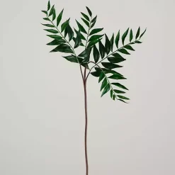 Stems & Bouquets><noscript><img width=