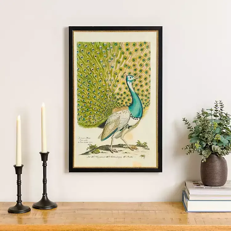 Kirklands Home Peacock Framed Wall Art Best
