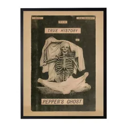 Halloween>Kirklands Home Pepper's Ghost Framed Halloween Wall Plaque