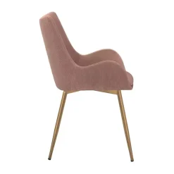Kirklands Home Velvet Avery Dining Chair Pink Best