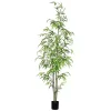 Trees & Topiaries>Kirklands Home Potted Bamboo Tree, 5 ft.