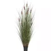 Trees & Topiaries>Kirklands Home Potted Brown Cats Tails Grass, 48 in.