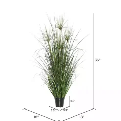 Trees & Topiaries><noscript><img width=