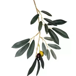 Trees & Topiaries>Kirklands Home Potted Olive Branch Tree, 6 ft.