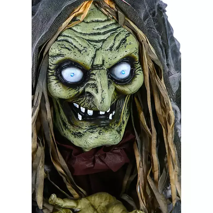Halloween>Kirklands Home Pre-Lit Animated Shrouded Witch Outdoor Decoration