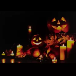 Halloween><noscript><img width=