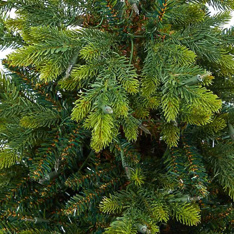 Christmas Arrangements & Garland>Kirklands Home Pre-Lit North Carolina Fir Tree in Red Planter