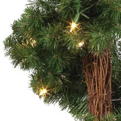 Christmas Trees><noscript><img width=