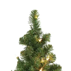 Christmas Trees><noscript><img width=
