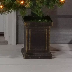 Christmas Trees><noscript><img width=