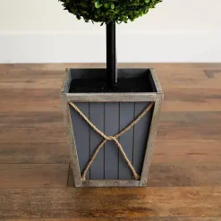 Trees & Topiaries><noscript><img width=