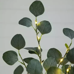 Trees & Topiaries>Kirklands Home Pre-Lit Warm LED Eucalyptus Plant, 5 ft.
