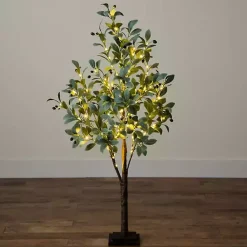 Trees & Topiaries><noscript><img width=