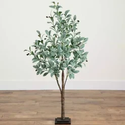 Trees & Topiaries><noscript><img width=