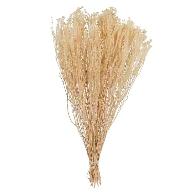Stems & Bouquets>Kirklands Home Preserved Natural Bleached Staavia Bush Tan