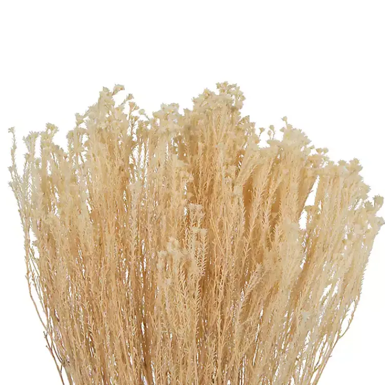 Stems & Bouquets>Kirklands Home Preserved Natural Bleached Staavia Bush Tan
