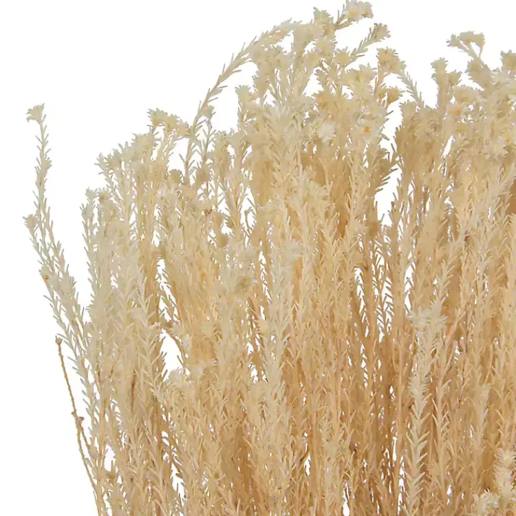 Stems & Bouquets>Kirklands Home Preserved Natural Bleached Staavia Bush Tan