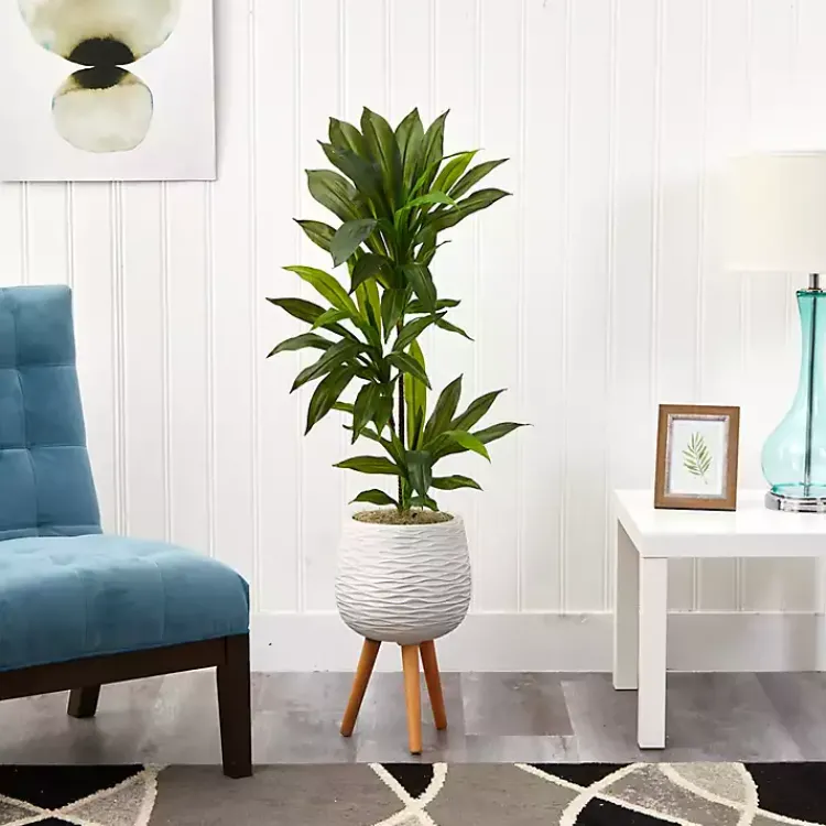 Trees & Topiaries>Kirklands Home Real Touch Dracaena in Mossy Tripod Planter
