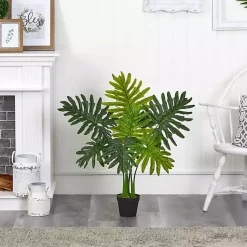 Trees & Topiaries><noscript><img width=