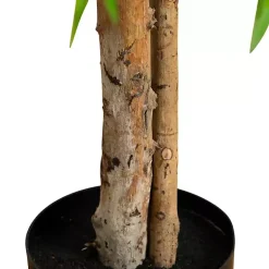 Trees & Topiaries><noscript><img width=