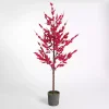 Christmas Decorations>Kirklands Home Red Berry Potted Christmas Tree, 66 in.