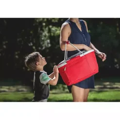 Kirklands Home Louisville Cardinals Cooler Basket Red