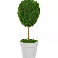Trees & Topiaries>Kirklands Home Reindeer Moss Ball Topiary in White Pot