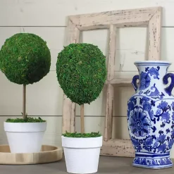 Trees & Topiaries>Kirklands Home Reindeer Moss Ball Topiary in White Pot
