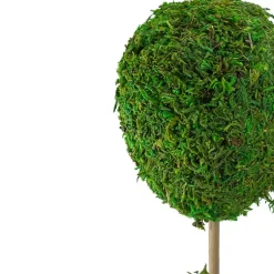 Trees & Topiaries><noscript><img width=