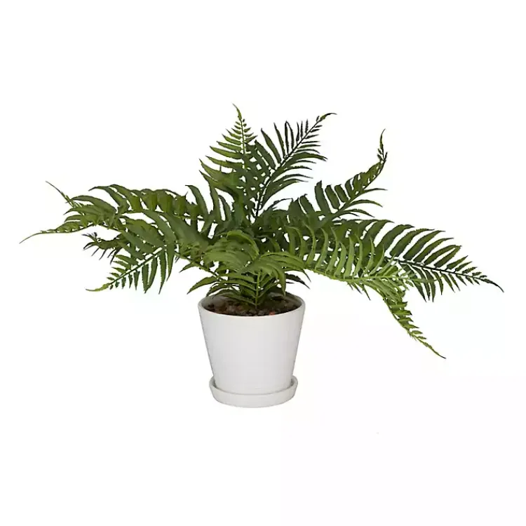 Arrangements & Greenery>Kirklands Home River Rock Fern in Ribbed White Planter