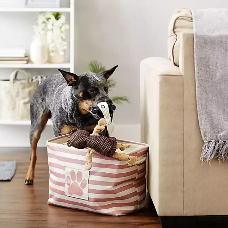 Baskets & Boxes>Kirklands Home Rose Striped Paw Medium Rectangular Pet Bin