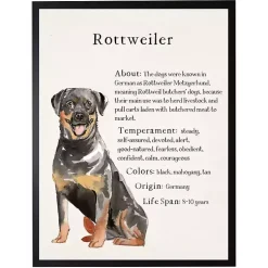 Kirklands Home Rottweiler Facts Framed Wall Plaque Discount