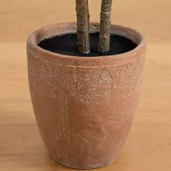 Trees & Topiaries><noscript><img width=