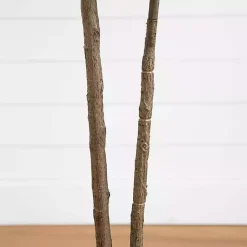 Trees & Topiaries><noscript><img width=