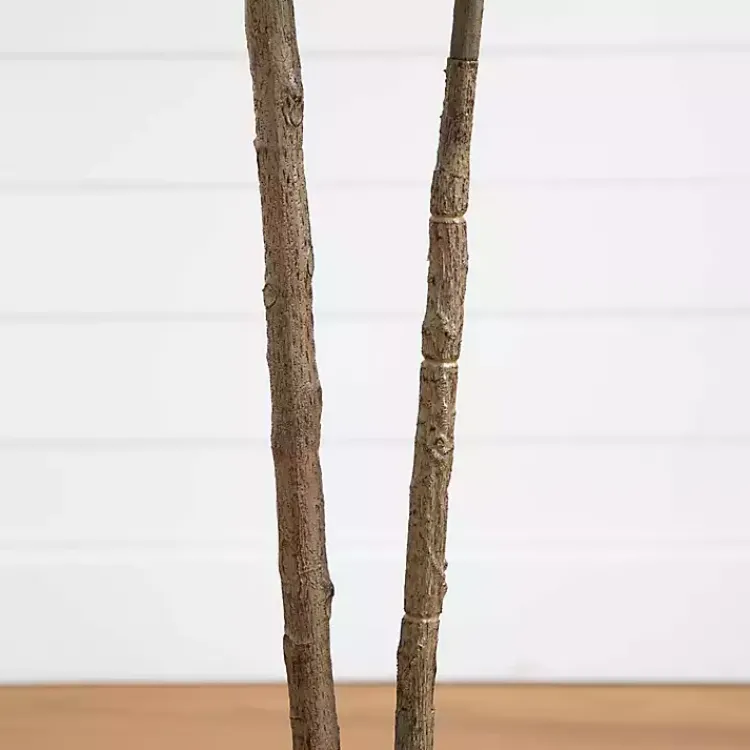 Trees & Topiaries>Kirklands Home Rubberwood Tree in Planter, 6 ft.