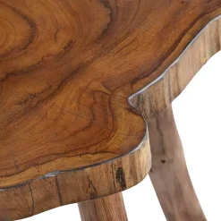Kirklands Home Rustic Natural Woodland Accent Table Brown Hot