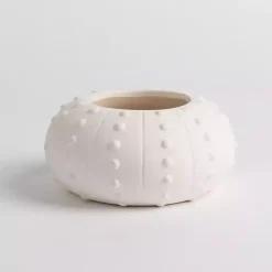 Candles>Kirklands Home Salt and Driftwood Sea Urchin Jar Candle White