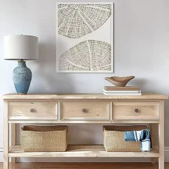 Kirklands Home Sand Dollar Rice Paper Shadowbox Wall Plaque White Discount