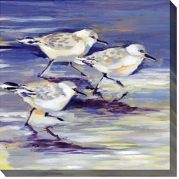 Kirklands Home Sandpipers Outdoor Canvas Art Print Best
