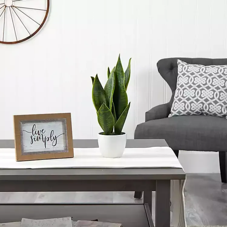 Arrangements & Greenery>Kirklands Home Sansevieria Arrangement in White Planter