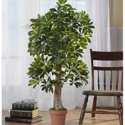 Trees & Topiaries>Kirklands Home Schefflera Tree in Terra Cotta Planter, 4 ft.